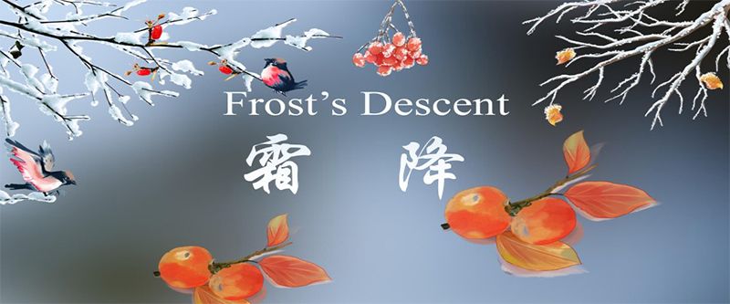 Frost'un İnişi
